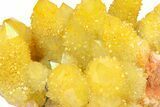 Sunshine Cactus Quartz Crystal Cluster - South Africa #284001-1